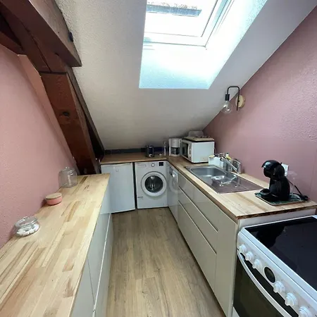 Daire Carrousel Apartment 4-Guest Loft In Central Gerardmer *